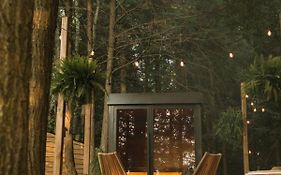 Aux Box Muskoka Modern Muskoka Bunkie